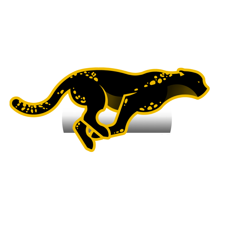 Caminho da Missão